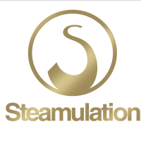 Steamulation Pro X Mini